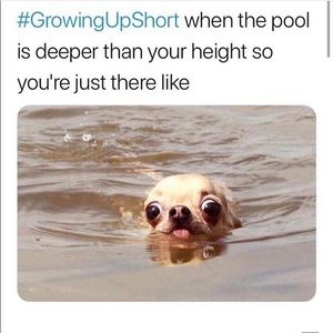 Meet your Posher, Brooke